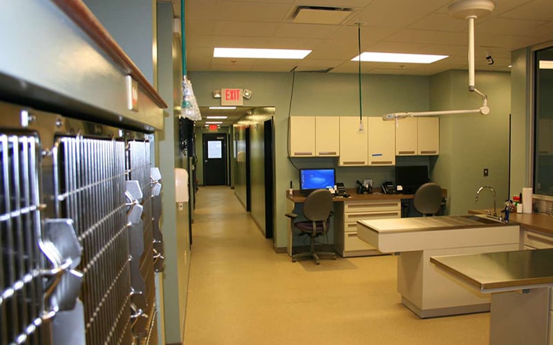 vet-clinic-construction