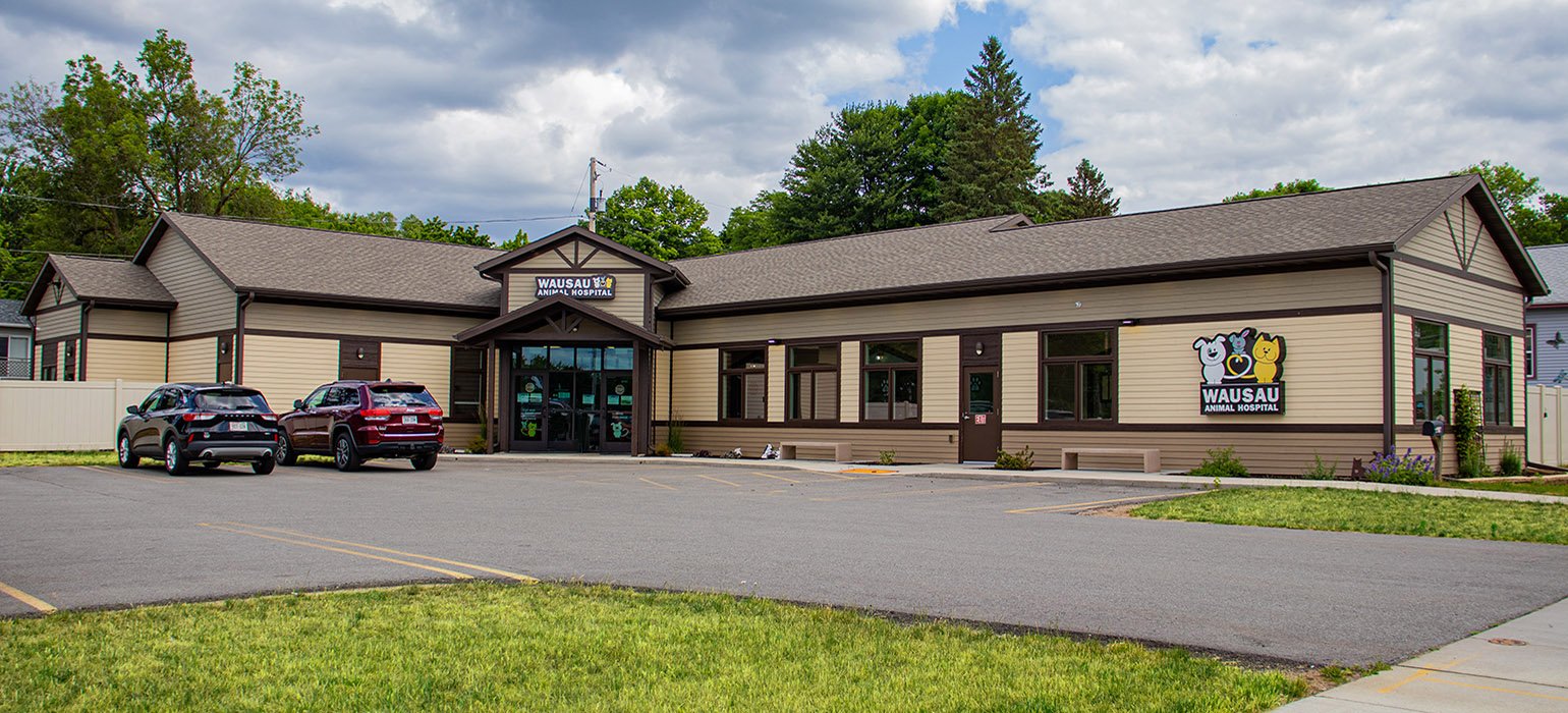 Veterinary Clinic Construction - Wausau Animal Hospital